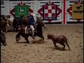 Video: [News Clip: Cutting Horse]