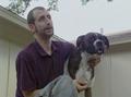 Video: [News Clip: A Pet Dog's Tragic Ordeal and Unwavering Love]