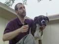 Video: [News Clip: A Canine's Unforgettable Tale of Resilience and Devotion]