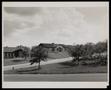 Photograph: [A street view of two houses on a hill]