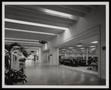 Photograph: [Interior view of North Park Mall]