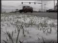 Primary view of [News Clip: Denver Snow]
