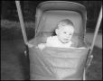 Photograph: [Baby in a Stroller, 1942]