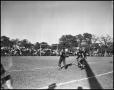 Photograph: [Football Players During Game]