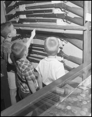 Primary view of object titled '[Three boys viewing gun case]'.