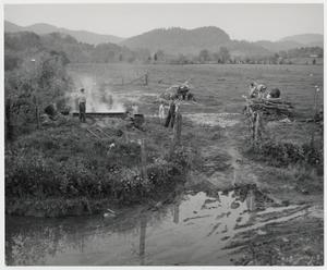 Primary view of object titled '[Molasses Making Time]'.