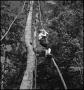 Photograph: [Young boy climbing vine]