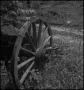 Primary view of [Overgrown wagon wheel]