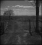 Photograph: [Gate to the homestead]