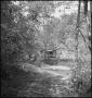 Photograph: [Cabin in the Hills of Cumberland Gap, Tennessee]