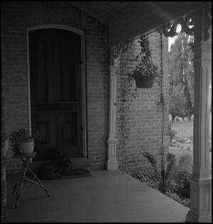 Primary view of object titled '[Dog on front porch]'.