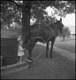 Photograph: [Douglas holding onto a horse, 2]