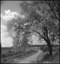 Photograph: [Photograph of a road with a small bridge, 1]