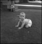 Photograph: [A baby crawling through a yard, 2]