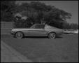 Photograph: [Mustang Parked on Lawn]