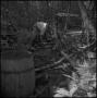 Photograph: [Barrels for a moonshine distillery, 2]