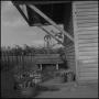Photograph: [Apples sitting next to a well]