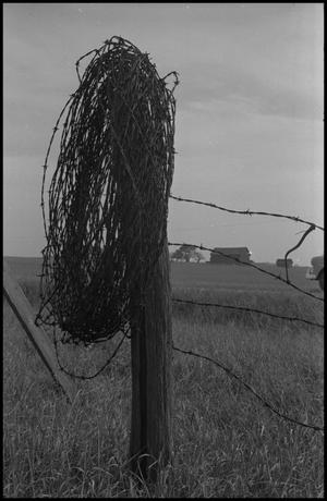 Primary view of object titled '[A roll of barbed wire]'.