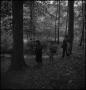 Photograph: [Walking through the woods]