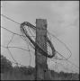 Photograph: [A fence with a roll of barbed wire, 3]
