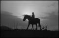 Photograph: [Silhouette of a boy riding a horse, 8]