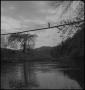 Photograph: [Woman on swinging bridge]