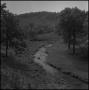 Photograph: [A creek at the bottom of a hill]