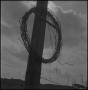 Photograph: [Barbed wire coil hanging on timber pole, 3]