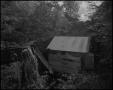 Photograph: [A watermill in the woods, 2]