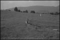 Photograph: [Photograph of a boy running with his dog, 1]