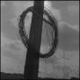Photograph: [Barbed wire coil hanging on timber pole, 2]