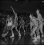 Photograph: [NTSU basketball player dribbles the ball]