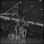 Photograph: [Basketball players reach for a rebound, 2]
