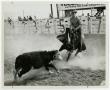Thumbnail image of item number 1 in: '[Tucson Rodeo cutting]'.