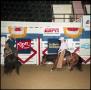 Primary view of [Cowboy cutting calf at Super Stakes]
