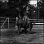 Photograph: [Man on rearing horse (close up)]