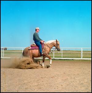 Primary view of object titled '[Man Riding a Horse at McQuay Stables]'.