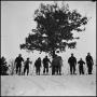 Photograph: [Nine skiers standing at the top of a hill]