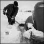 Photograph: [Man shoveling his car out of the snow, 2]