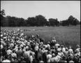 Photograph: [Crowd of people standing by a field of wheat]