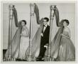 Primary view of [Sam Milligan, Patricia Westworth, and Nancy Quick, members of the Harp Ensemble, 2]