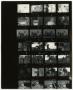 Photograph: [Seven rows of Kodak safety film]