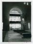 Photograph: [Window into Willis Library at Night]