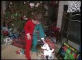 Video: [News Clip: Kids gifts]