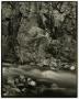 Photograph: [Photograph of a moving river stream]