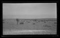 Photograph: [Flat desert landscape]