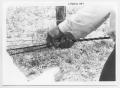 Photograph: [Person Using Tool to Make Rope]