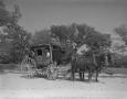 Photograph: [Couple Posing in Stagecoach]