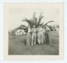 Photograph: [Women in Front of Palm Tree]