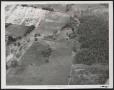 Primary view of [Aerial View of Arden Terrace Park and Surrounding Area]